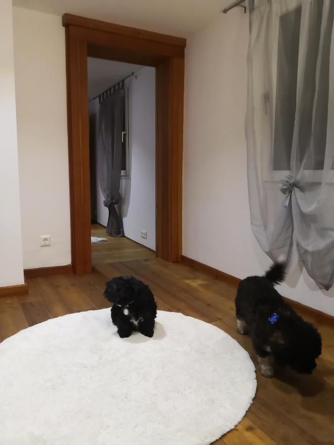 Haus Am Fluss Villa Kall ภายนอก รูปภาพ